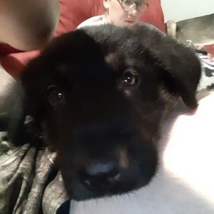 Meet your Posher, Thomas